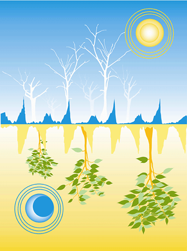 Figure 1: A seasonal view of circadian circuitry...